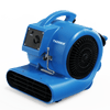 Soffiatore per tappeti THORAIR® Pro Snail